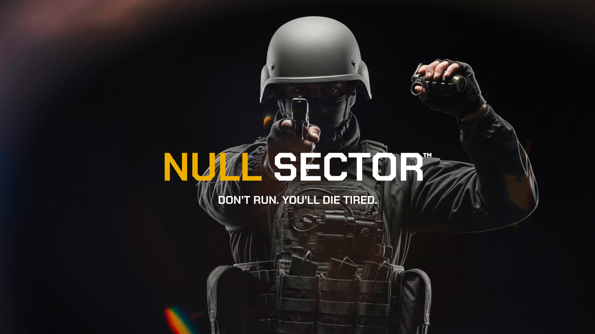 NULL SECTOR PROJECT INITIALIZED